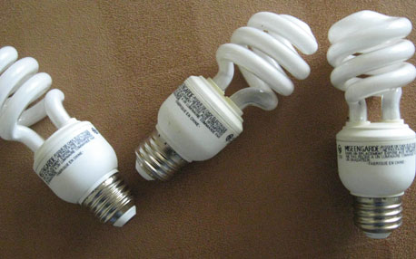 cfl bulbs